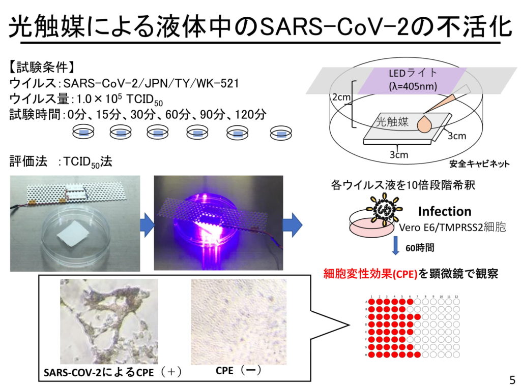 光触媒による液体中のSARS-CoV-2の不活性化1